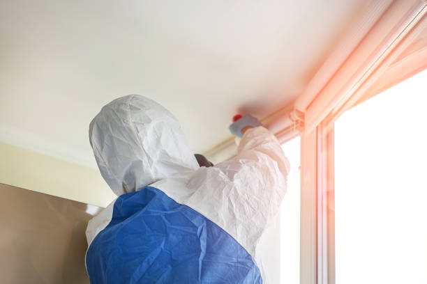 Best Mold Remediation for Healthcare Facilities  in Mascot, TN